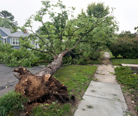 Fall storms can be powerful.