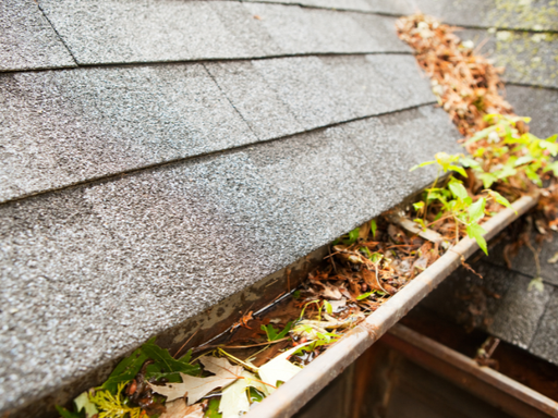 Riddle Brothers Roofing & Construction